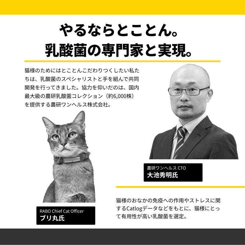 Catlogケア乳酸菌 専門家共同開発