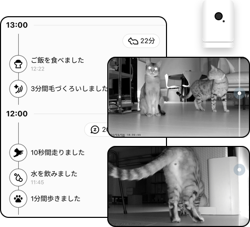 Catlogアプリのタイムライン表示と見守りペットカメラの映像