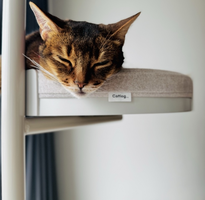 Catlogは数値を集めるためのものではありません