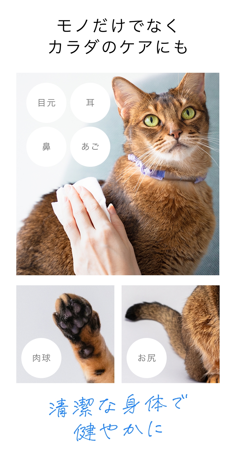 モノだけでなくカラダのケアにも