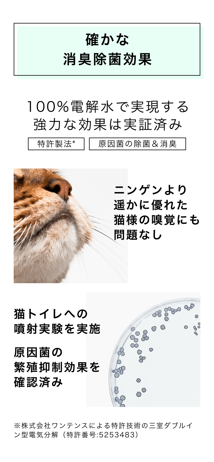 確かな消臭除菌効果