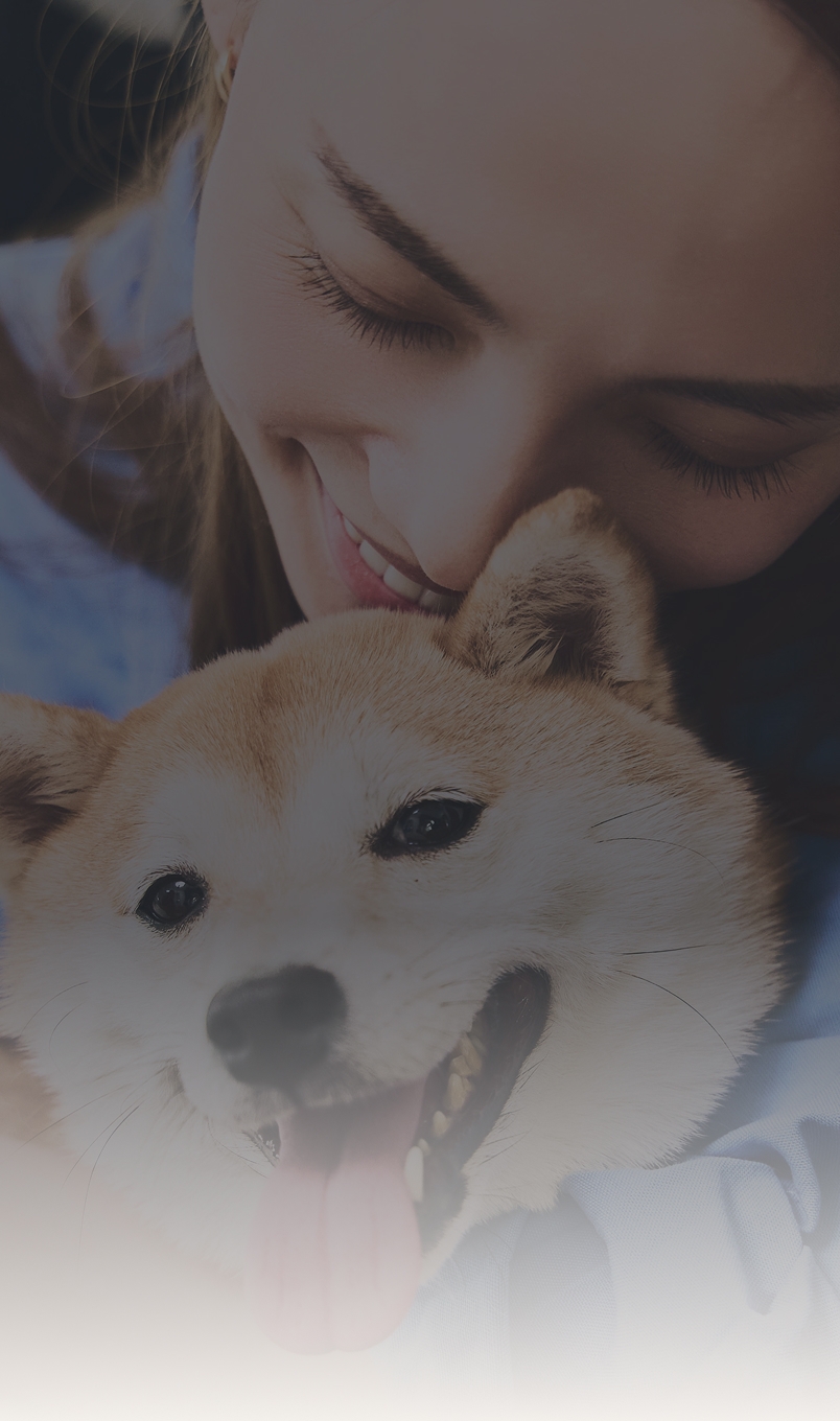 Pawlinq 紹介画像